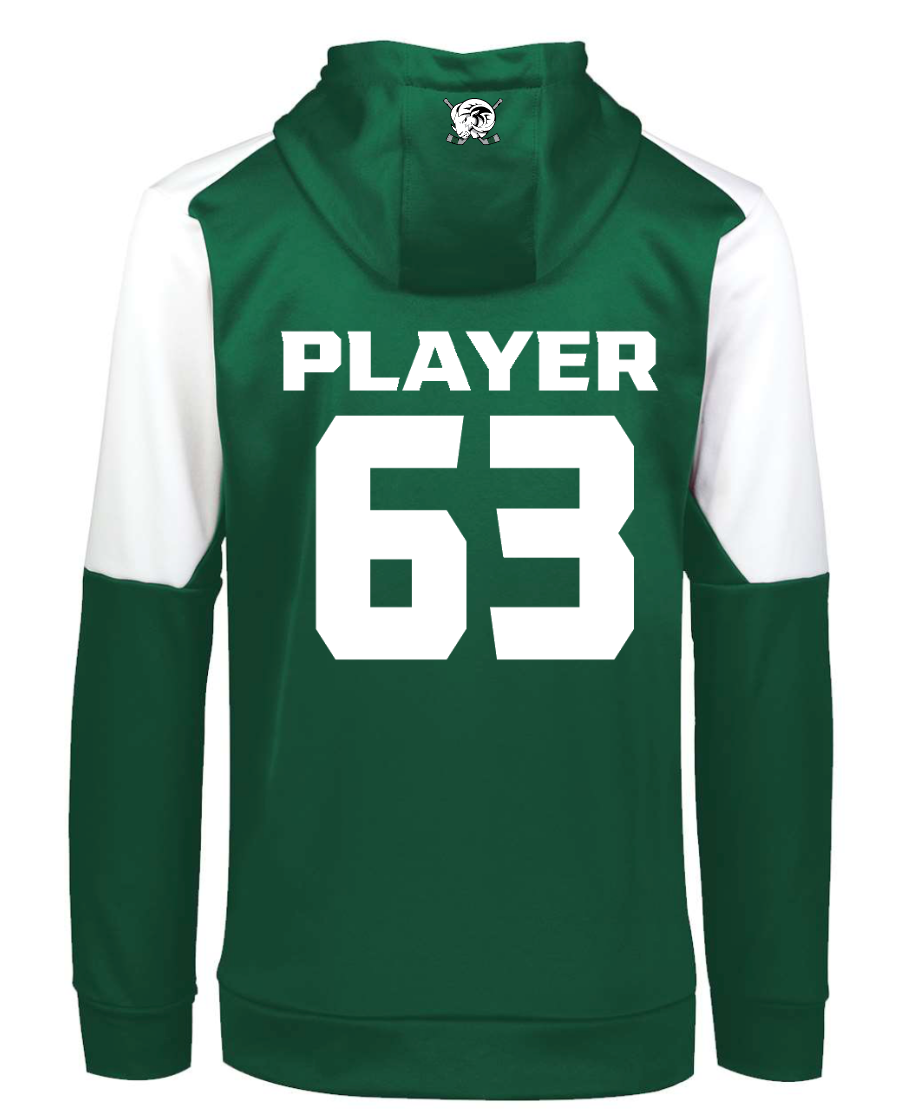 **** CLOSEOUT ITEM**** PLAYER HOODIE (Youth AND Adult)